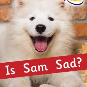 Is Sam Sad?