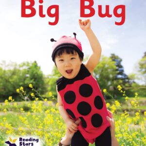 Big Bug