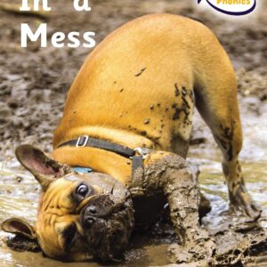 In a Mess