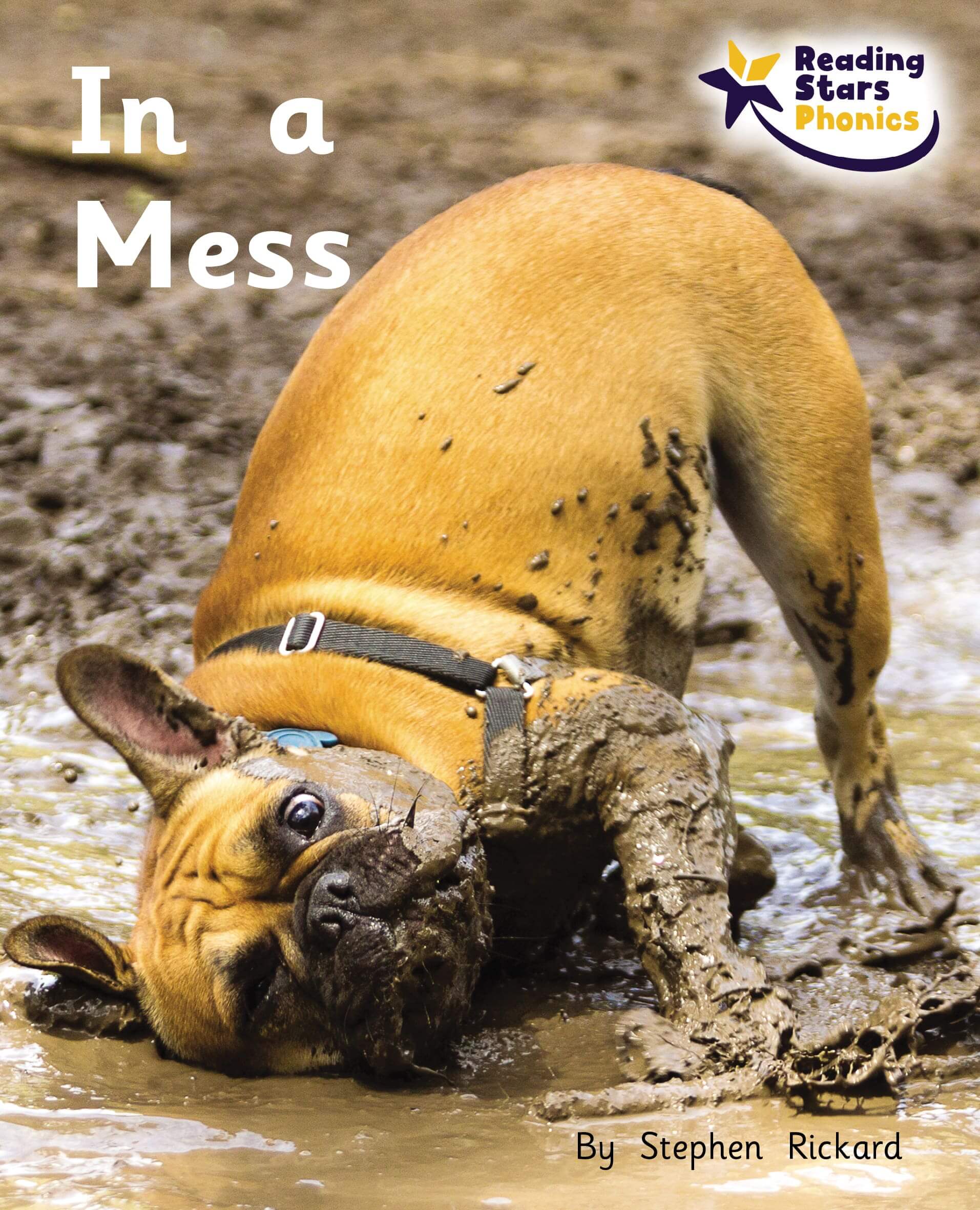 In a Mess