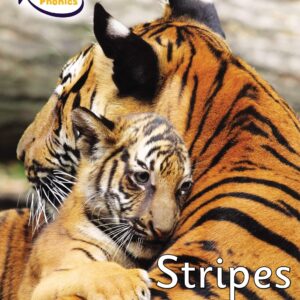 Stripes